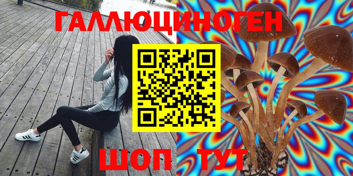 Южно-Сахалинск  Галлюциногенные грибы Psilocybe  где купить   Вход с VPN 